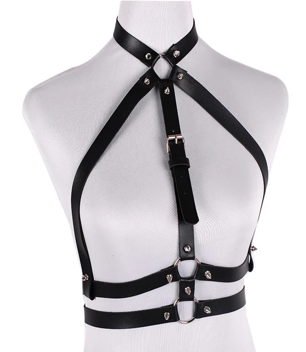 Harness No.46