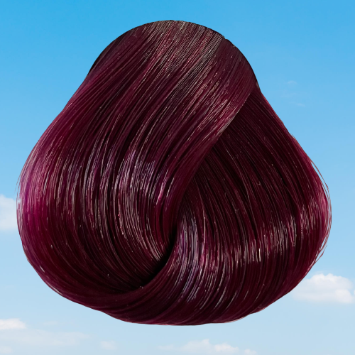 Directions Dark Tulip