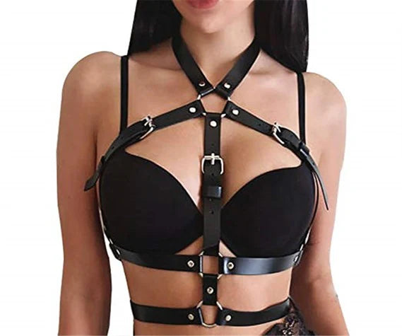 Harness No.55
