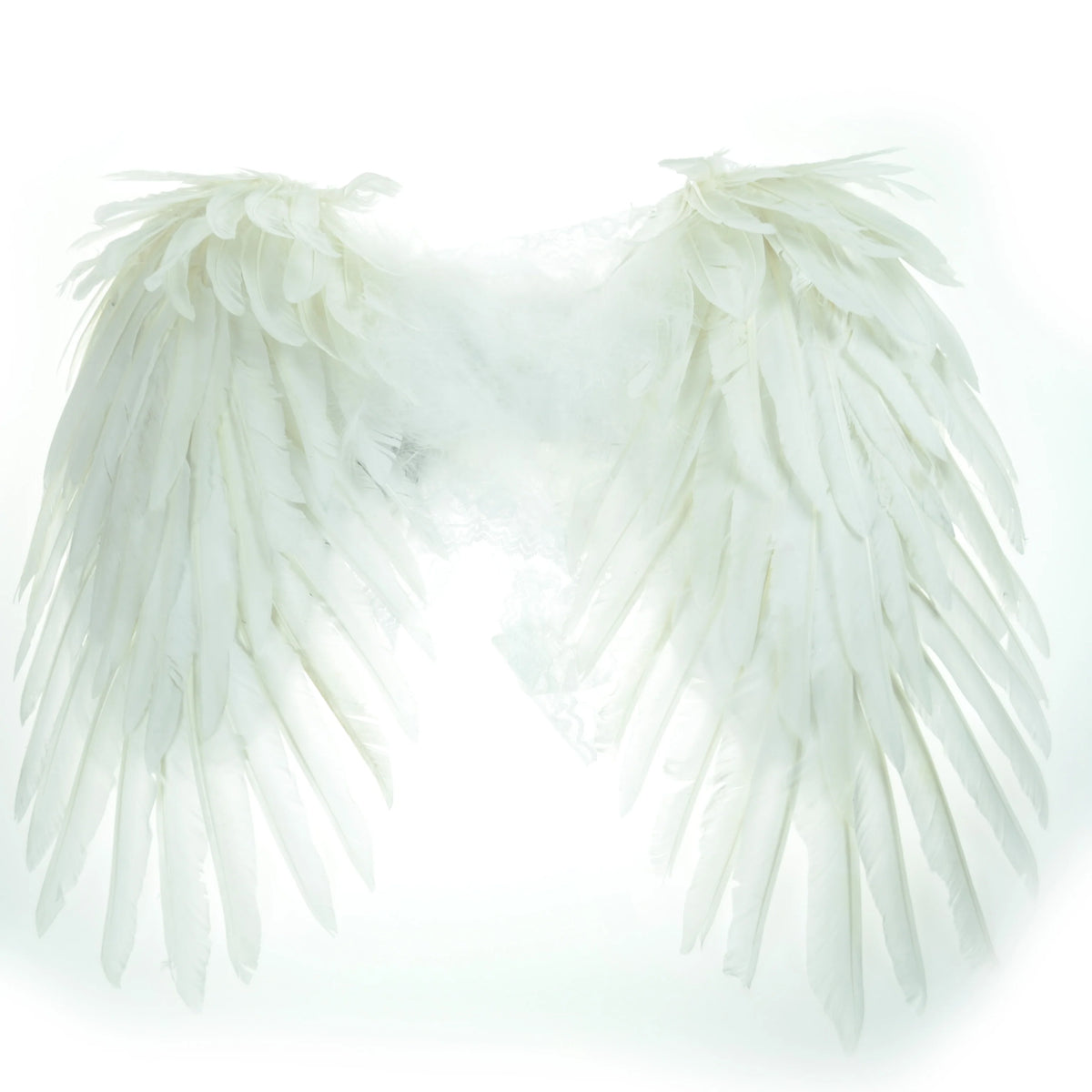 Angel Wings – White (✦ Poizen Industries) NUR ABHOLUNG IM SHOP (Kein Versand!)