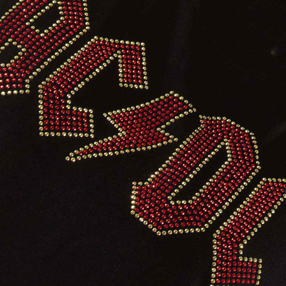 AC/DC Skinny Fit T-Shirt: Full Colour Logo (Black) (Embellished)