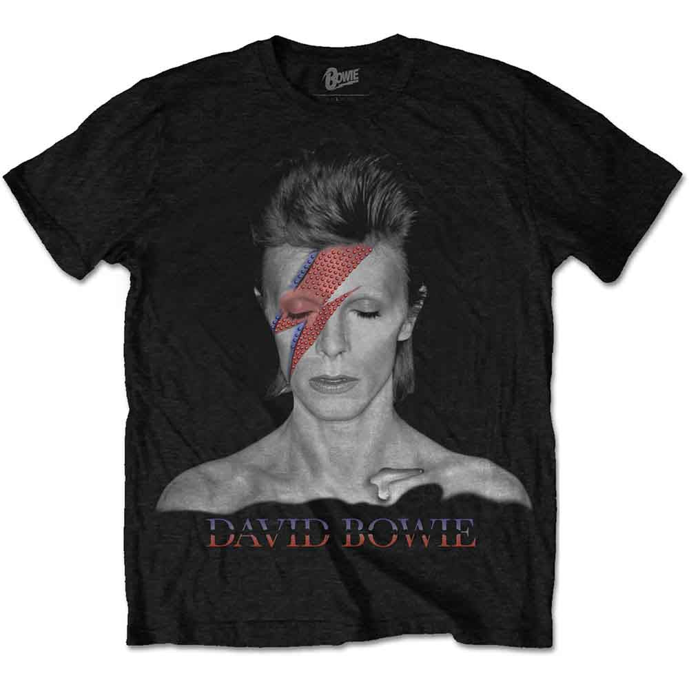 David Bowie Unisex T-Shirt: Aladdin Sane (Black) 