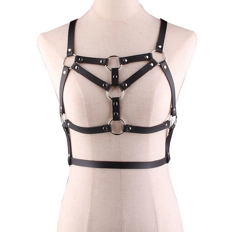 Harness No.66