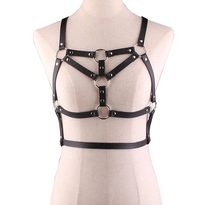 Harness No.66